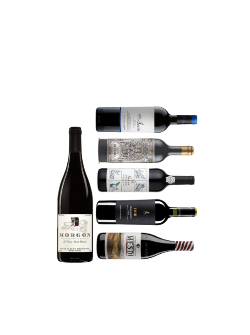 Wines of the Year REDS